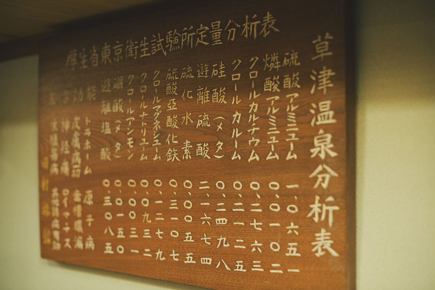 館内にある木彫りの珍しい温泉分析表